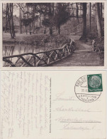 Ansichtskarte Bad Salzhausen-Nidda Parkpartie Mit Goldfischteich 1934 - Other & Unclassified