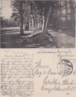 Ansichtskarte Bad Lippspringe Partie Im Kurpark 1915  - Bad Lippspringe