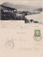 Ansichtskarte Tegernsee (Stadt) Totalansicht 1902  - Tegernsee