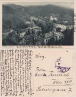 Ansichtskarte Kaltenleutgeben Blick Auf Die Stadt 1924  - Autres & Non Classés