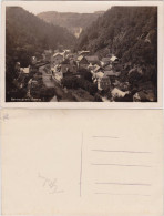 Postcard Herrnskretschen Hřensko Stadtpartie 1930  - Czech Republic