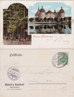 Ansichtskarte Moritzburg 2 Bild: Schloss Und Wild 1904 - Moritzburg