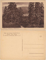Ansichtskarte Ruhestein-Seebach Kurhaus Ruhestein 1929 - Other & Unclassified