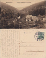 Ansichtskarte Wernigerode Försterei Voigtstieg Im Mühlental 1913  - Altri & Non Classificati
