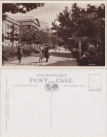 Postcard Kapstadt Kaapstad Government Avenue 1940  - Afrique Du Sud