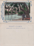 Postcard Johannesburg Parkpartie - Mann Auf Einer Bank 1912  - Südafrika