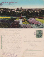 Ansichtskarte Erfurt Dame Auf Blumenfeldern Vor Der Stadt 1913 - Erfurt
