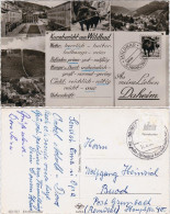 Ansichtskarte Bad Wildbad 4-Bild-Ansichtskarte Panorama Und Markt 1961 - Other & Unclassified