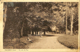 France - (01) Ain - Thoissey - Un Coin Du Parc - Non Classificati