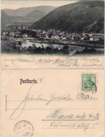 Ansichtskarte Alf (Mosel) Blick Auf Die Stadt 1903  - Alf-Bullay