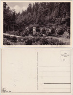 Postcard Bad Oppelsdorf Opolno Zdrój Partie Am Oppel-Denkmal 1930  - Schlesien
