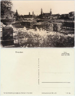 Ansichtskarte Innere Altstadt-Dresden Panorama Von Elbufergärten 1956 - Dresden