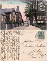 Postcard Haynau Chojnów An Der Promenade 1918  - Schlesien