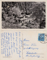 Ansichtskarte Lichtenhain-Sebnitz Hotel Lichtenhainer Wasserfall 1956 - Kirnitzschtal