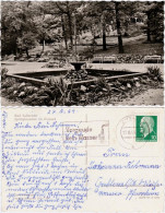 Ansichtskarte Bad Suderode Springbrunnen Im Kurpark 1962 - Other & Unclassified