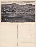 Postcard Bad Oppelsdorf Opolno Zdrój Blick Von Westen 1924  - Schlesien