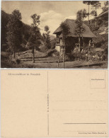 Ansichtskarte Furtwangen (Schwarzwald) Schwarzwaldhaus Im Hexenloch 1920  - Furtwangen