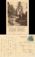 Postcard Wartha Bardo Marienbrunnen Auf Dem Warthaberge 1909  - Schlesien