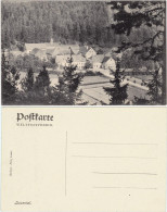 Ansichtskarte Luisenthal (Thüringen) Partie Im Luisental 1914 - Otros & Sin Clasificación