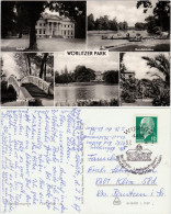 Wörlitz-Oranienbaum-Wörlitz Mehrbildkarte Des Wörlitzer Park 1967 - Autres & Non Classés