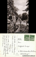 Ansichtskarte Landau In Der Pfalz Im Schillerpark 1967 - Landau