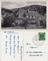 Zwingenberg (Bergstraße) Erholungsheim Orbishöhe - Vorderansicht 1952 - Otros & Sin Clasificación