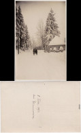 Zinnwald-Georgenfeld-Altenberg Erzgebirge Hütte Winterlandscahft Zinnwald 1931 - Altenberg