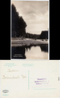 Bad Brambach Waldteich-Hohendorf Foto Ansichtskarte 1928 - Bad Brambach