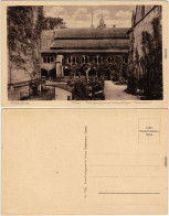 Ansichtskarte Hildesheim Dom, Kreuzgang Und 1000 Jähriger Rosenstock 1928 - Hildesheim