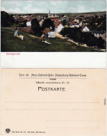 Elbingerode Partie An Der Stadt Ansichtskarte Harz B Halberstadt  1908 - Other & Unclassified