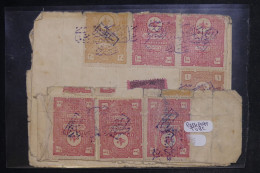TURQUIE - Timbres Fiscaux  Sur Passeport Ottoman - L 152877 - Lettres & Documents