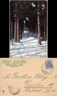 Künstlerkarte Von Erik Mailick (Dresden), Winterlandschaft Ansichtskarte 1905 - Unclassified