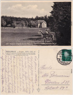 Ansichtskarte Rechenberg Bienenmühle Rehe Vor Richters Gasthof 1931 - Holzhau