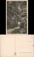 Ansichtskarte Stadt Wehlen Uttewalder Felsentor 1928 - Andere & Zonder Classificatie