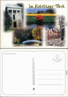 Wörlitz Oranienbaum- Wörlitzer Park  Ansichtskarte  1987 - Sonstige & Ohne Zuordnung
