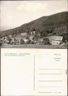 Waltersdorf Großschönau  Panorama-Ansicht, Sonneberg Mit Grenzbaude 1965 - Grossschönau (Sachsen)