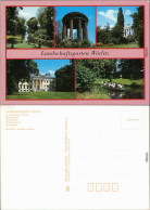 Wörlitz Oranienbaum  Schlösser Und Gärten: Landschaftsgarten - Goldene Urne 989 - Sonstige & Ohne Zuordnung