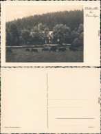 Ansichtskarte Braunlage Waldmühle Mit Rinder Auf Der Weide 1934 - Braunlage