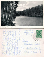 Ansichtskarte Braunlage Partie Am Silberteich 1949  - Braunlage