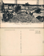 Cancale Kankaven Triage Des Huîtres/Hafen - Sortierung Von Austern 1912 - Altri & Non Classificati