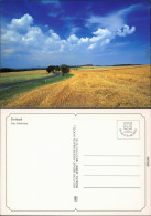 Ansichtskarte  Stimmungsbilder: Natur, Erntezeit 1995 - Non Classés