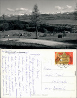 Ansichtskarte Männedorf Mänidorf Zürichsee 1960 - Other & Unclassified