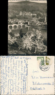 Heidelberg Panorama-Ansicht: Brücke, Schloss, Kirche, Baumblüte 1954 - Heidelberg