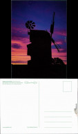 Ansichtskarte Oppelhain Paltrockwindmühle 1985 - Other & Unclassified
