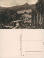 Ansichtskarte Bad Schandau Zeughaus Mit Forsthaus Goldstein 1916  - Bad Schandau