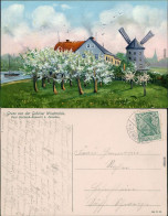 Ansichtskarte Gohlis-Dresden Gohliser Windmühle - Gemälde 1912 - Dresden