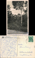 Ansichtskarte Erbach (Odenwald) Jugendherberge 1952 - Erbach