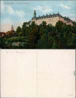 Ansichtskarte Bad Wildungen Schloß Friedrichstein 1915  - Bad Wildungen