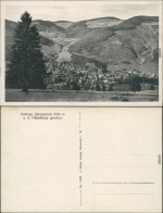 Ansichtskarte Todtnau Panorama 1930 - Todtnau