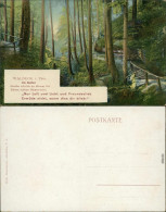 Ansichtskarte Waldeck (Thüringen)- Waldwege - Die Buchen 1913  - Otros & Sin Clasificación